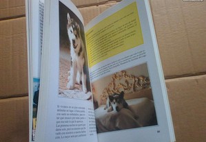 imagem_7
