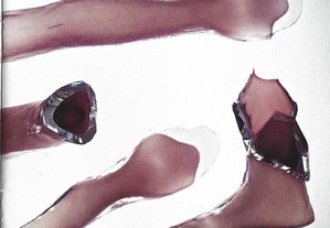 imagem_6