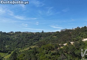 imagem_12