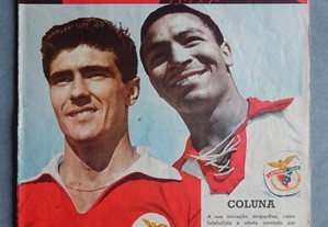 Antiga revista O Benfica Ilustrado nº 38 - 1960 - Coluna / Águas