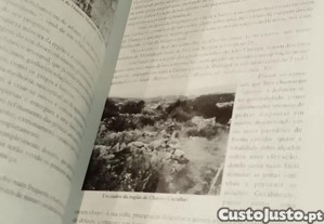 imagem_8
