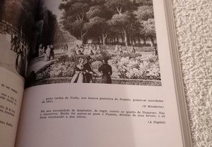 imagem_5
