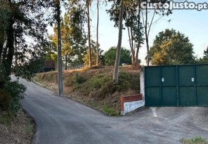 imagem_7
