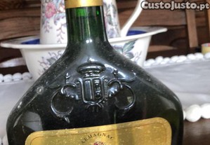 imagem_7