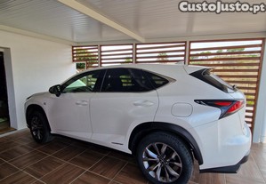 imagem_5
