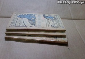 imagem_5