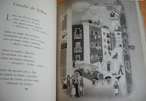 imagem_7