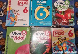 imagem_1