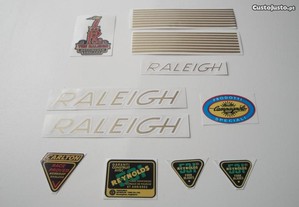 Raleigh International Autocolantes emblemas