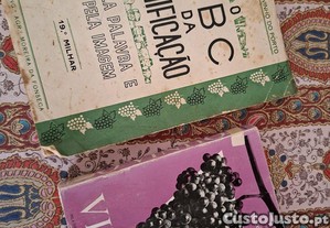 imagem_1
