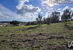 Terreno para construção em Lamas e Cercal