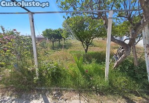 imagem_17