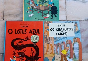 BD do Tintin em Capa Dura da Difusão Verbo