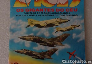 imagem_1