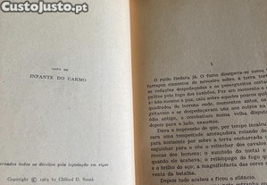 imagem_4