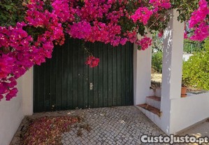 imagem_8