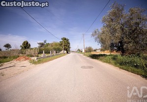 imagem_24