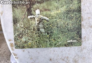 imagem_6
