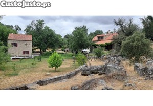 imagem_23