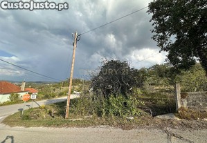 imagem_7