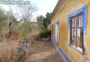 imagem_9