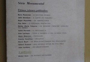 imagem_3