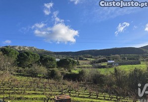 Terreno para construção em Lamas e Cercal