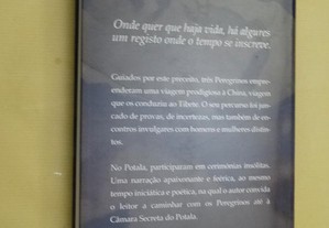 imagem_4