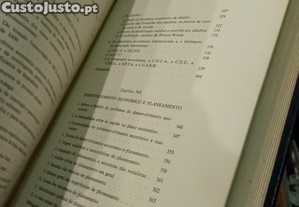 imagem_8