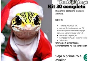 kit gecko leopardo com equipamento completo
