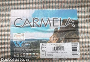 imagem_2