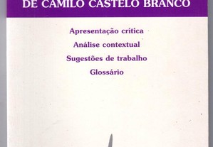 Para Uma Leitura de Amor de Perdição de Camilo Castelo Branco de Ana Paula Dias
