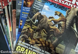 imagem_2