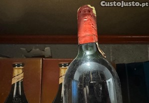 imagem_4