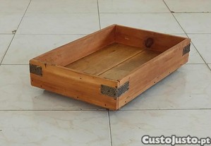 imagem_1