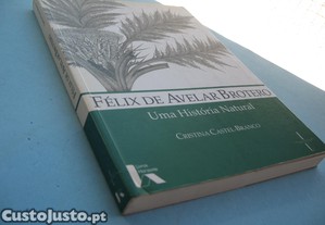 imagem_8
