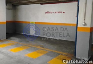 imagem_29