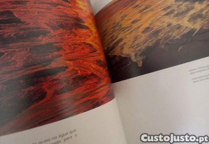 imagem_8