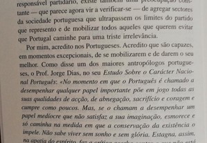 imagem_8