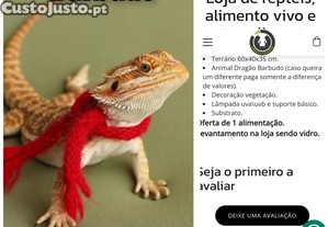 kit barbudo completo