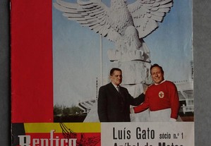 Antiga revista O Benfica Ilustrado nº 104 - 1966 - Luís Gato, Aníbal de Matos