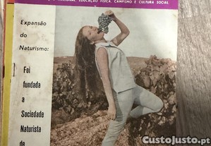imagem_1