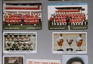 Vários calendários de bolso Sport Lisboa e Benfica (S L B)