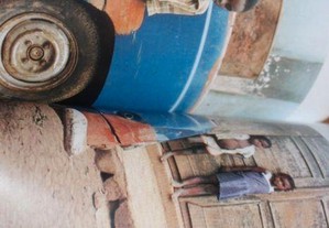 imagem_2