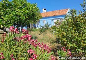 imagem_22
