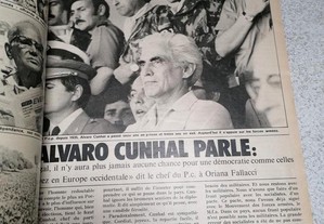 imagem_5
