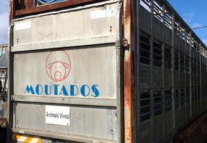 Caixa animais vivos alumínio camião