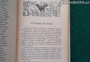 imagem_8