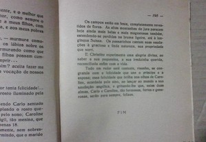 imagem_7