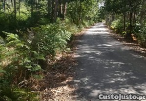 imagem_7
